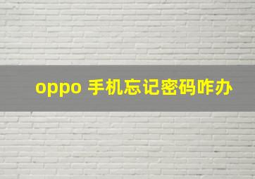 oppo 手机忘记密码咋办